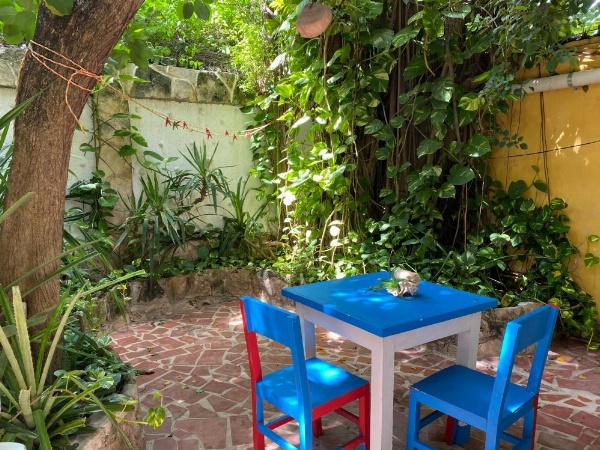 Maison Tulum image 31