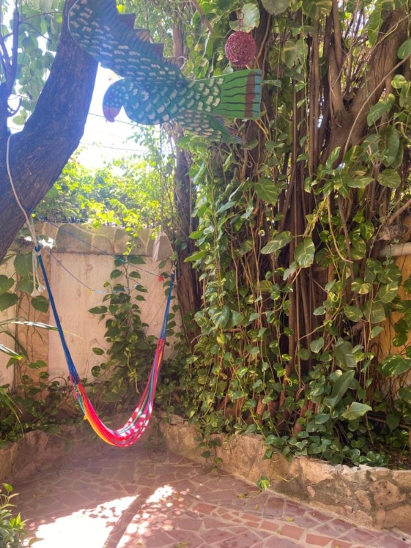 Maison Tulum image 32