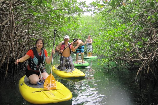 Tour image 5