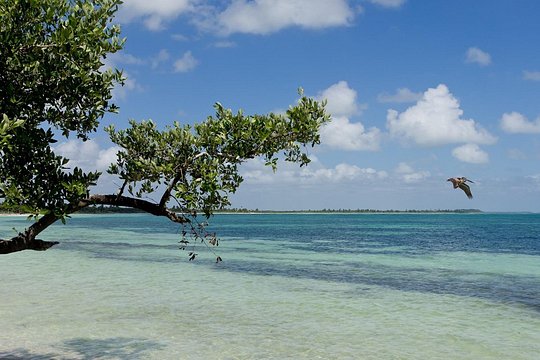 Tour image 10