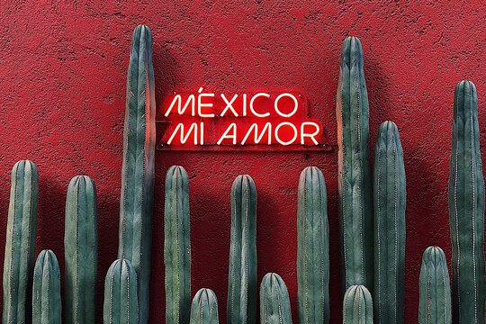 Tour image 9