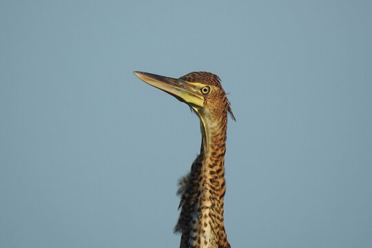 Tour image 11