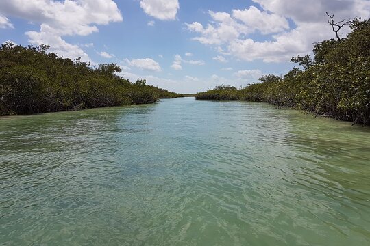 Tour image 5