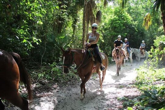 Tour image 10